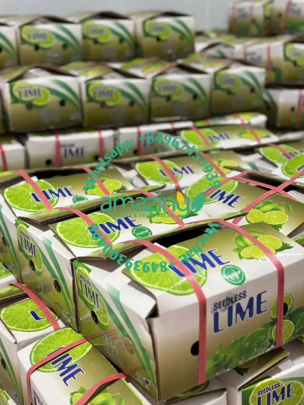 SEEDLESS LIME - Image 2