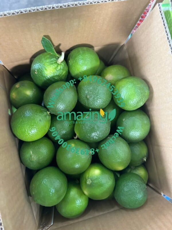 SEEDLESS LIME - Image 3