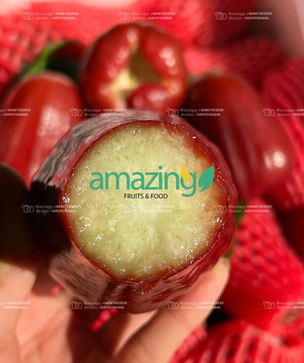 ROSE APPLE GREED (PLUMS)