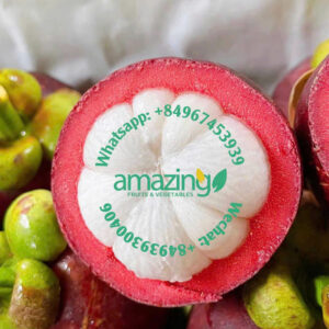 MANGOSTEEN