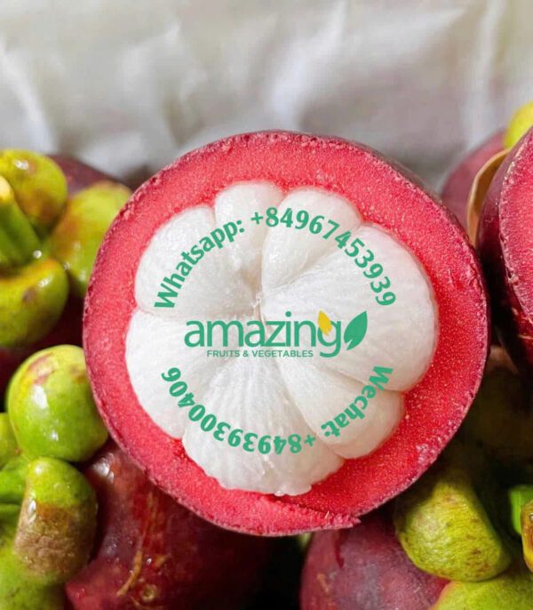 MANGOSTEEN