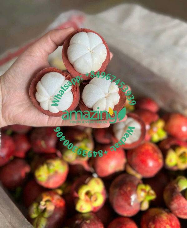 MANGOSTEEN - Image 4