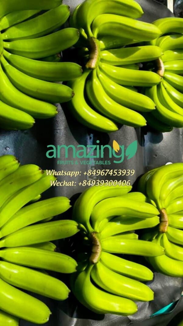 CAVENDISH BANANA - Image 4