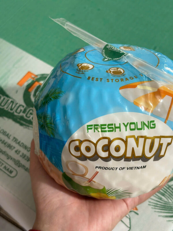 YOUNG COCONUT