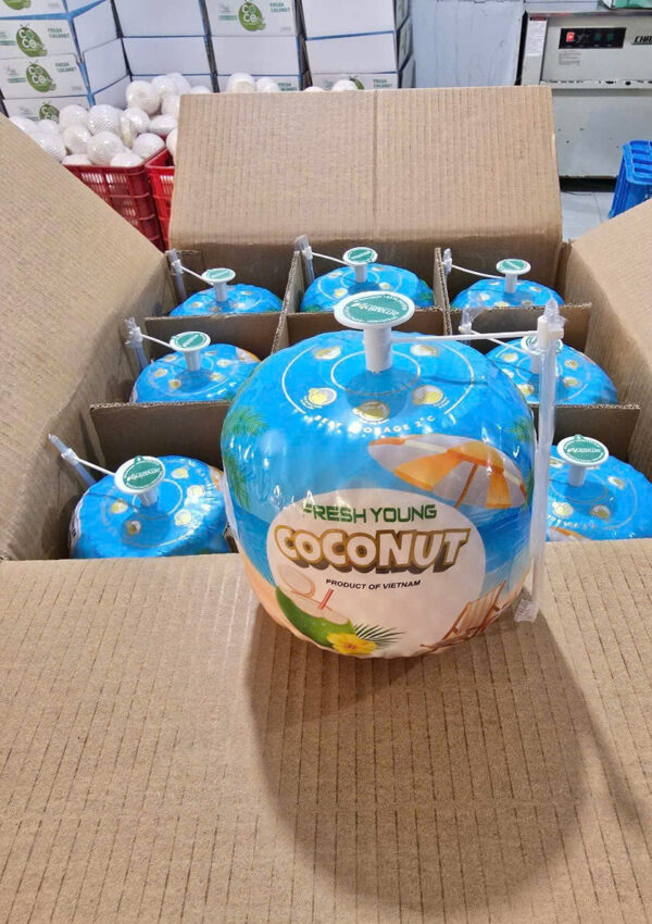 YOUNG COCONUT - Image 2