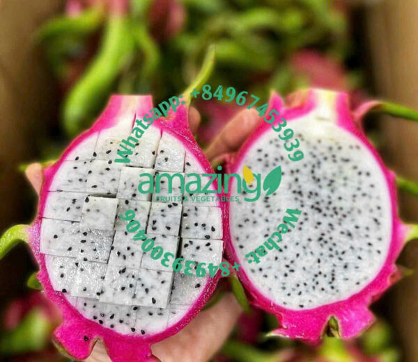 DRAGON FRUIT (Red / White flesh) - Image 2
