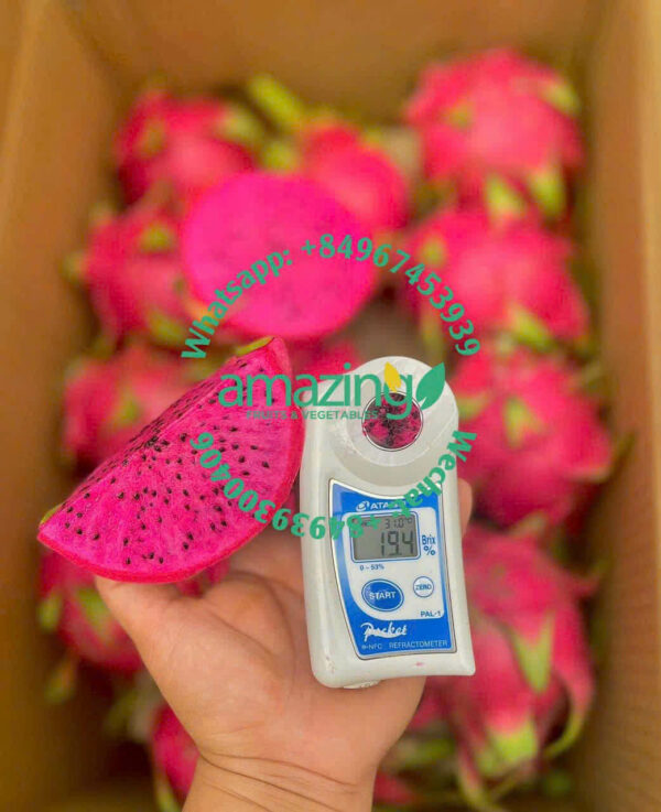 DRAGON FRUIT (Red / White flesh) - Image 3