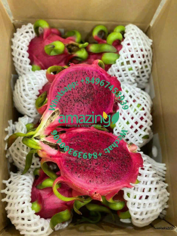 DRAGON FRUIT (Red / White flesh) - Image 4
