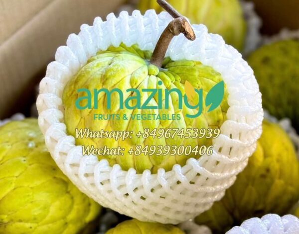 CUSTARD APPLE - Image 2