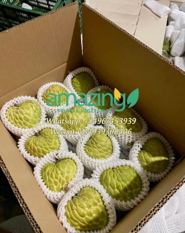 CUSTARD APPLE - Image 5