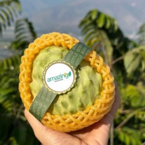 CUSTARD APPLE