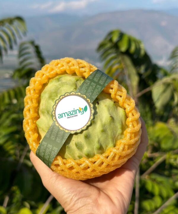 CUSTARD APPLE