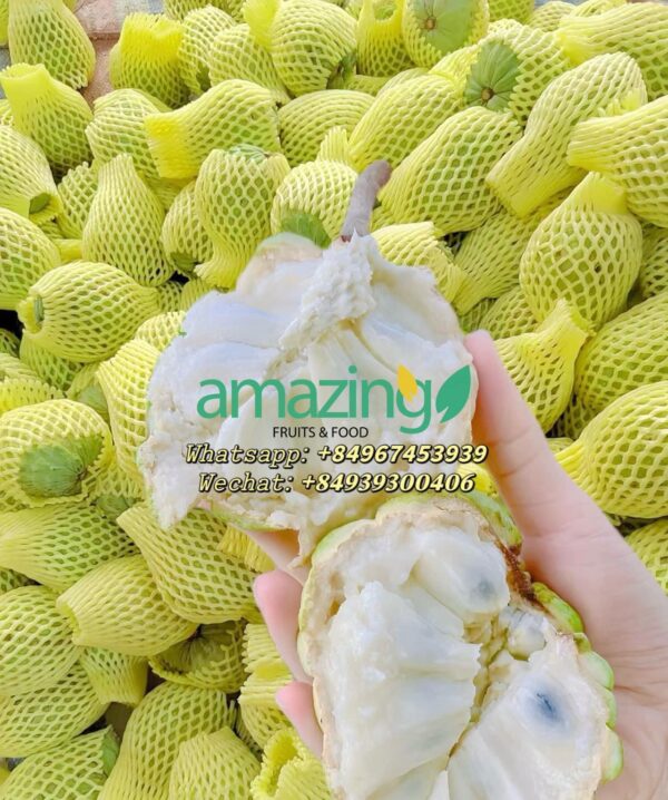CUSTARD APPLE - Image 3