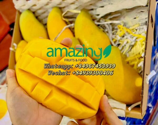 SWEET MANGO (Hoa Loc/Cat Chu/Keo varieties) - Image 3