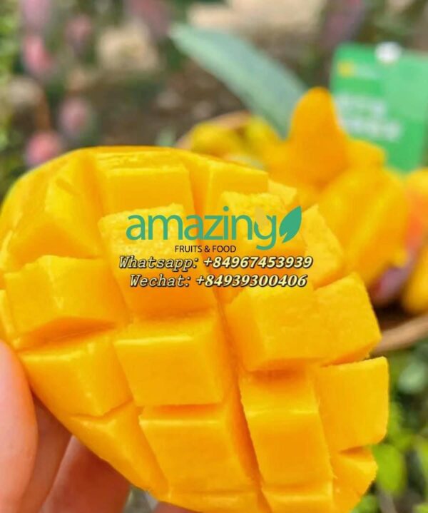 SWEET MANGO (Hoa Loc/Cat Chu/Keo varieties) - Image 2