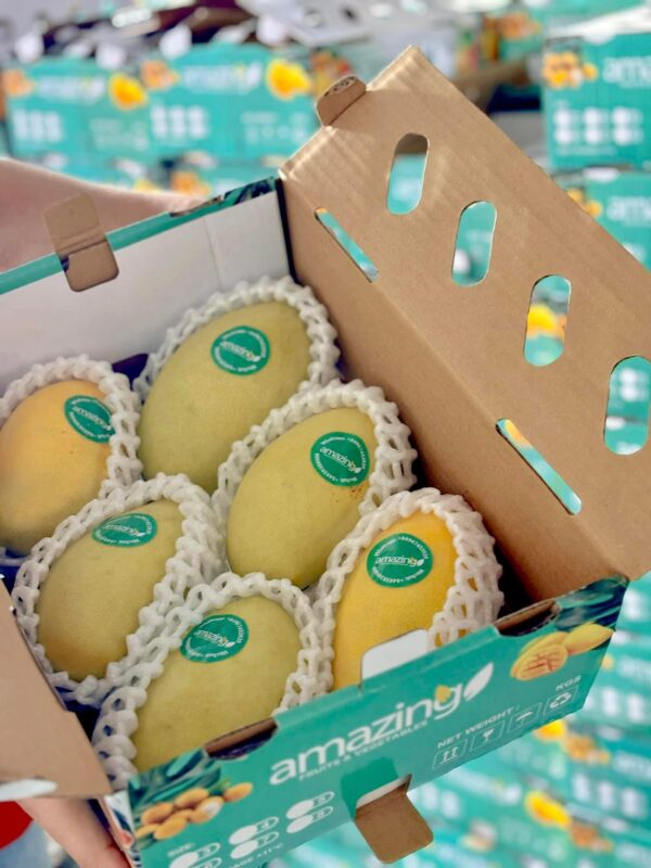 SWEET MANGO (Hoa Loc/Cat Chu/Keo varieties) - Image 4