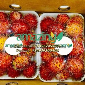 RAMBUTAN