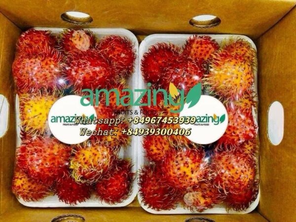RAMBUTAN