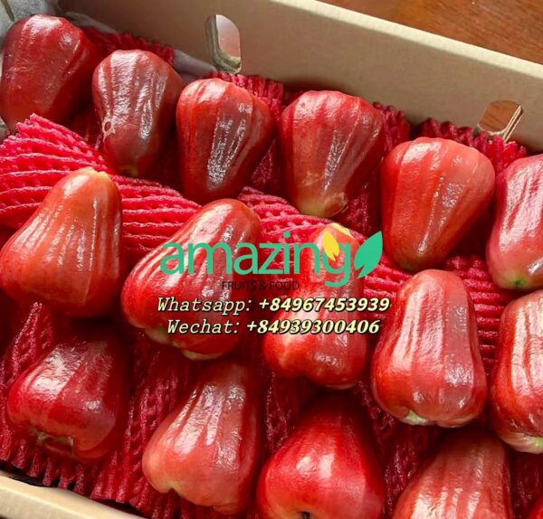 ROSE APPLE GREED (PLUMS) - Image 2