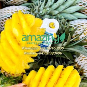 PINEAPPLE
