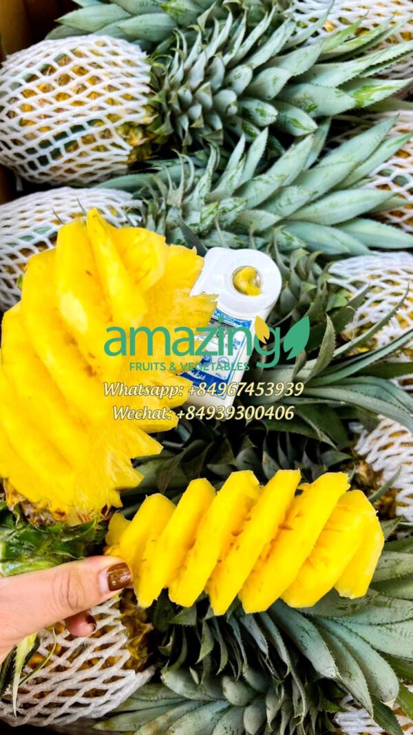 PINEAPPLE
