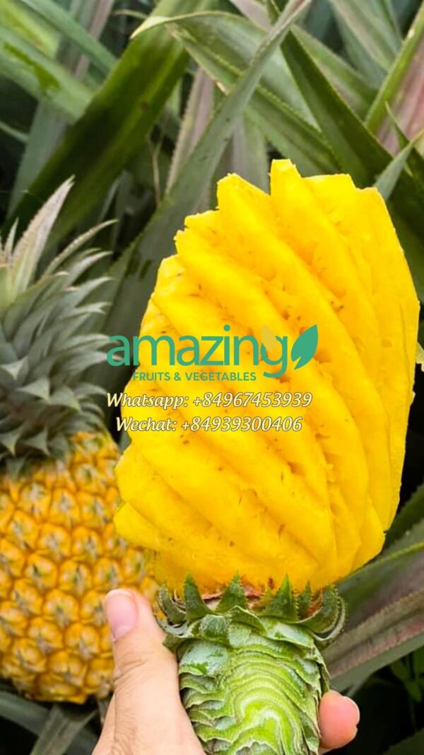 PINEAPPLE - Image 2