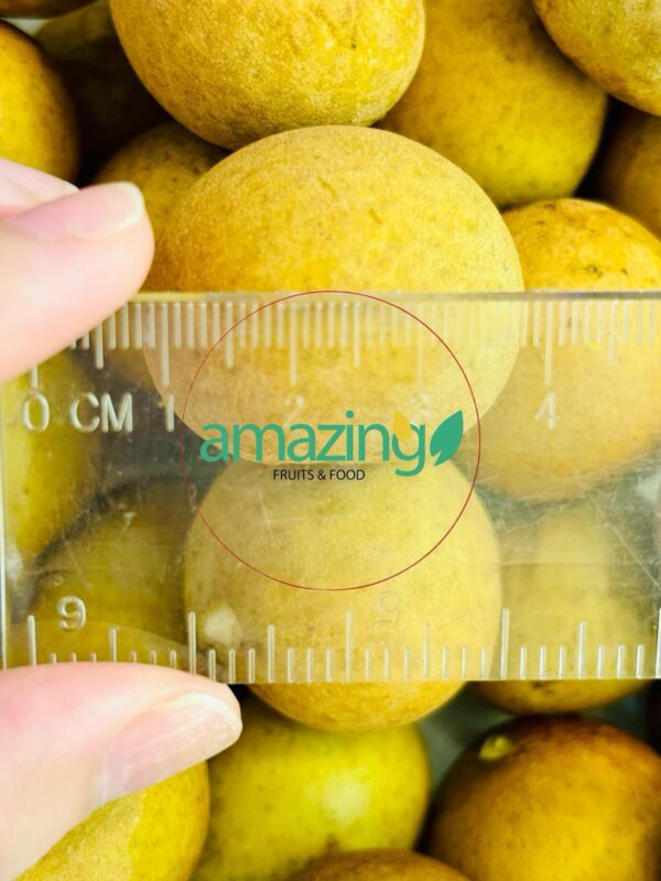 LONGAN