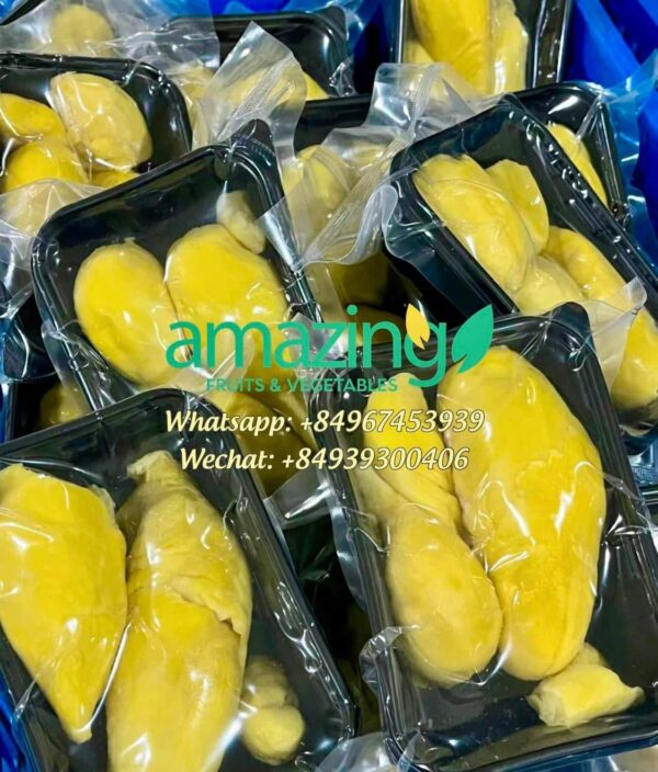 DURIAN MONGTHONG / RI6 - Image 2