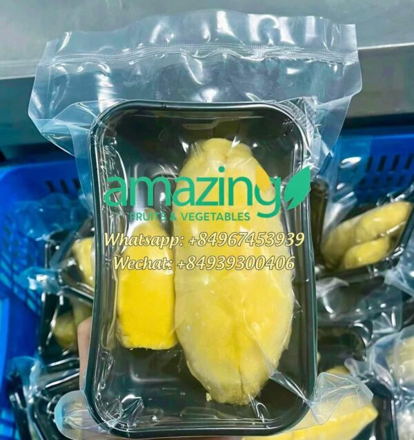 DURIAN MONGTHONG / RI6 - Image 3