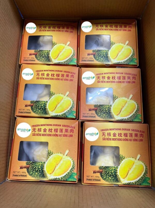 FROZEN DURIAN SEED PULP & PASTE - Image 2