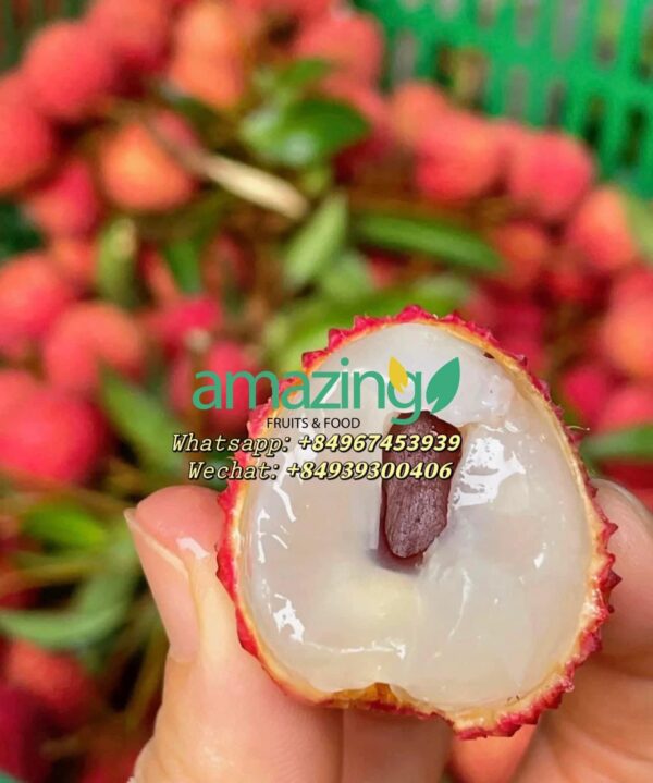 FRESH LYCHEE