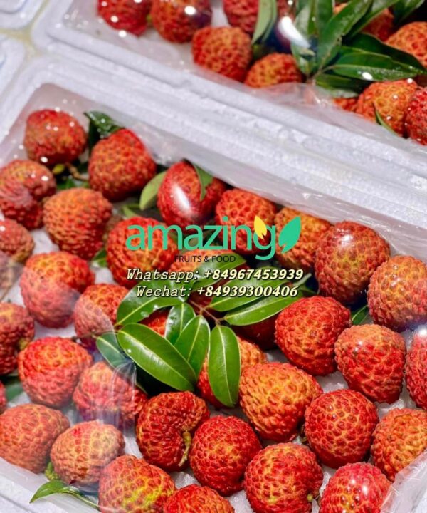 FRESH LYCHEE - Image 4