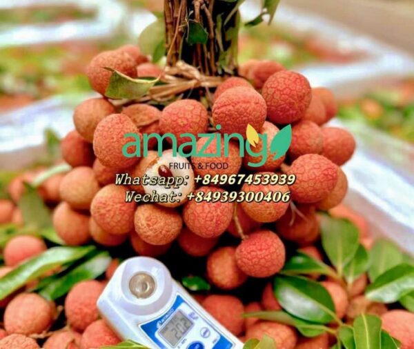 FRESH LYCHEE - Image 6
