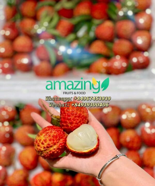 FRESH LYCHEE - Image 3