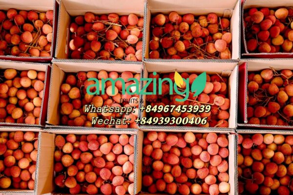 FRESH LYCHEE - Image 5